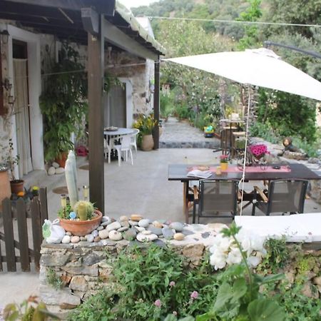 Olga'S Traditional Stone House, Palaiochora Kondokinigi Dış mekan fotoğraf