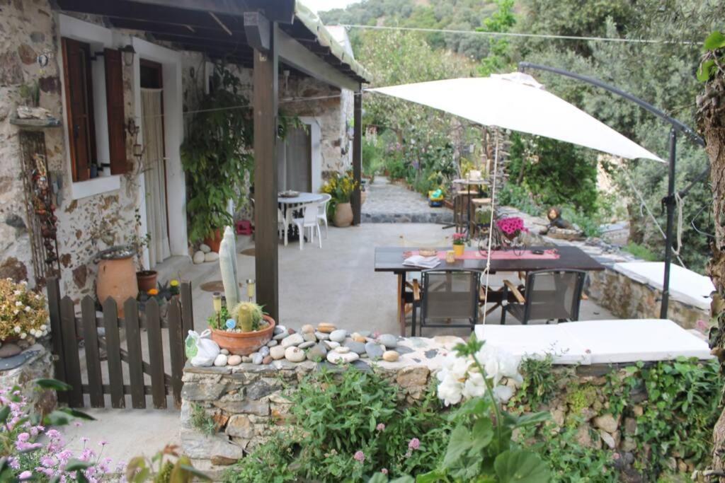 Olga'S Traditional Stone House, Palaiochora Kondokinigi Dış mekan fotoğraf