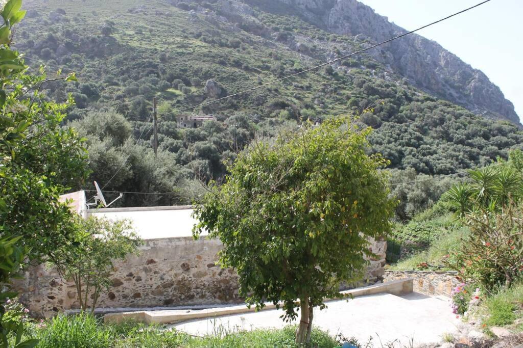 Olga'S Traditional Stone House, Palaiochora Kondokinigi Dış mekan fotoğraf