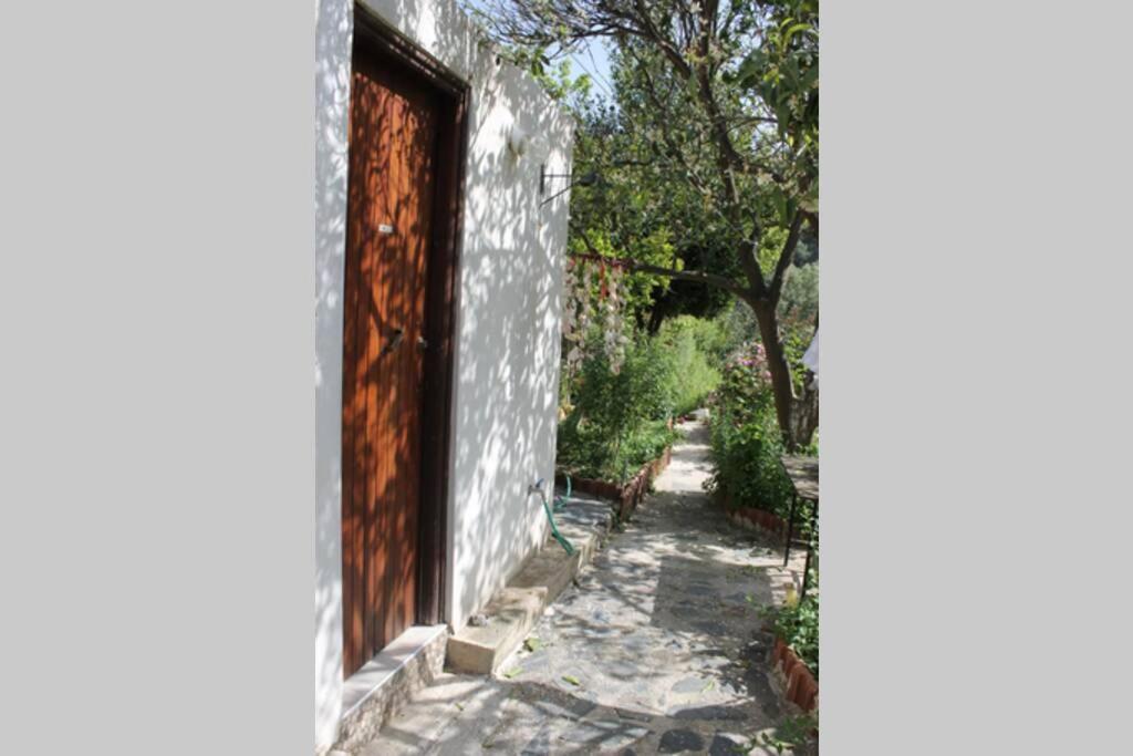 Olga'S Traditional Stone House, Palaiochora Kondokinigi Dış mekan fotoğraf