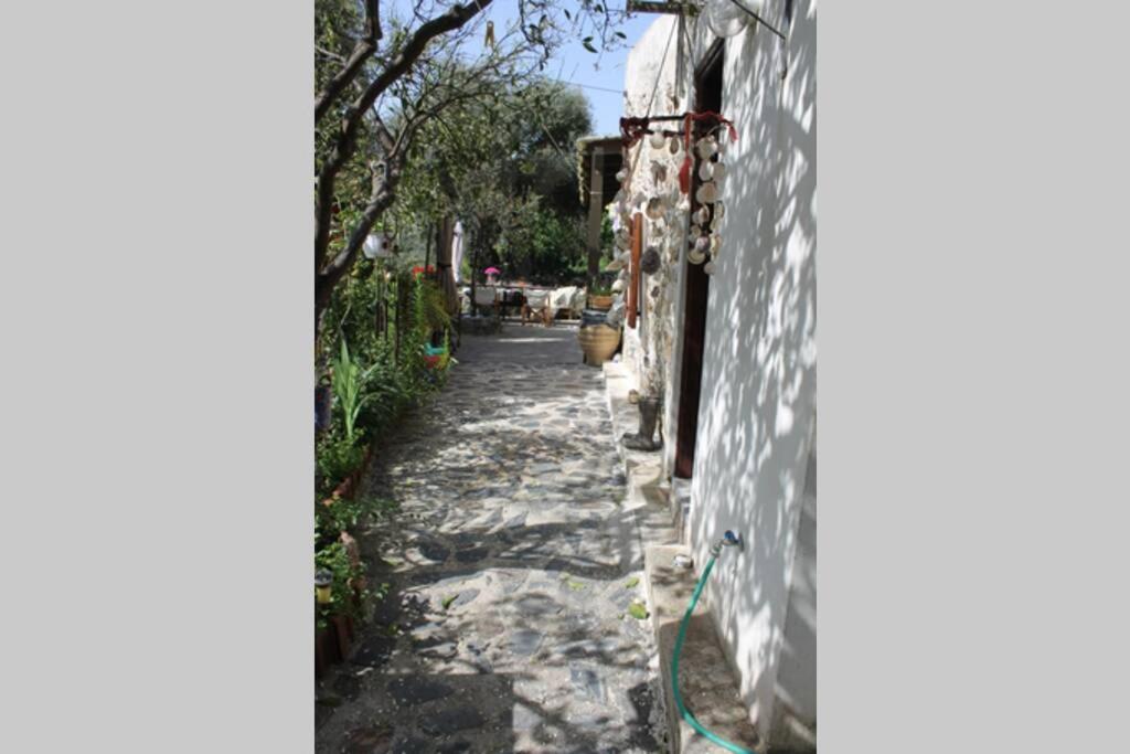 Olga'S Traditional Stone House, Palaiochora Kondokinigi Dış mekan fotoğraf