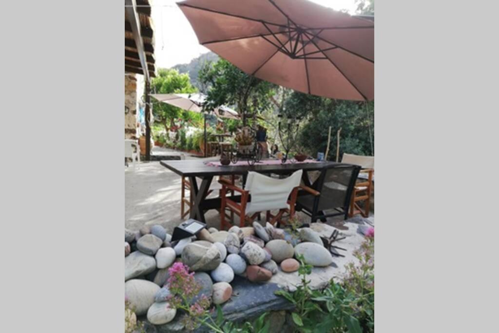 Olga'S Traditional Stone House, Palaiochora Kondokinigi Dış mekan fotoğraf